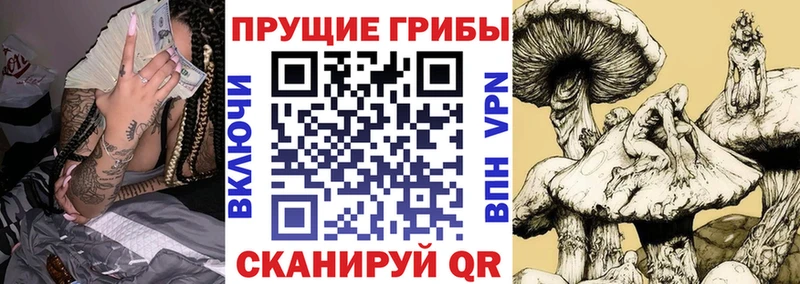 Псилоцибиновые грибы MAGIC MUSHROOMS Курган